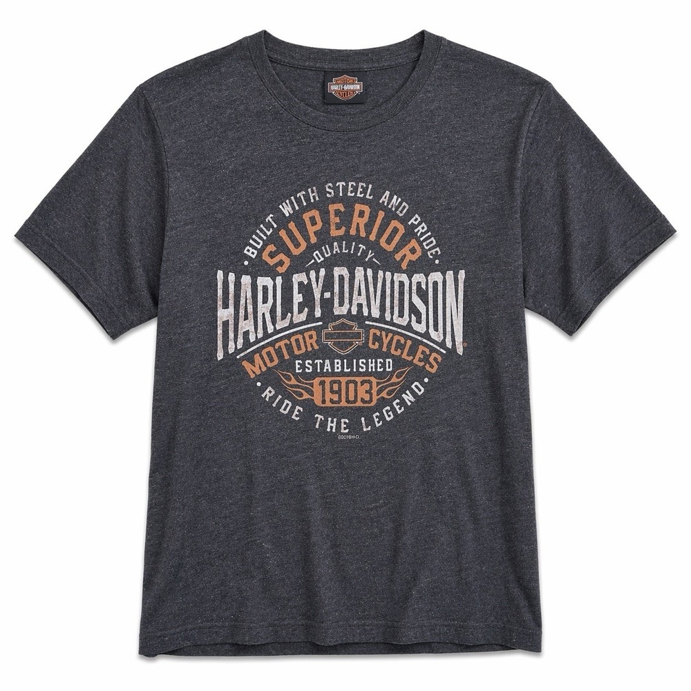 Harley-Davidson Men Gray Graphic T Shirt Texas Bedford TX 3XL Cotton Blend